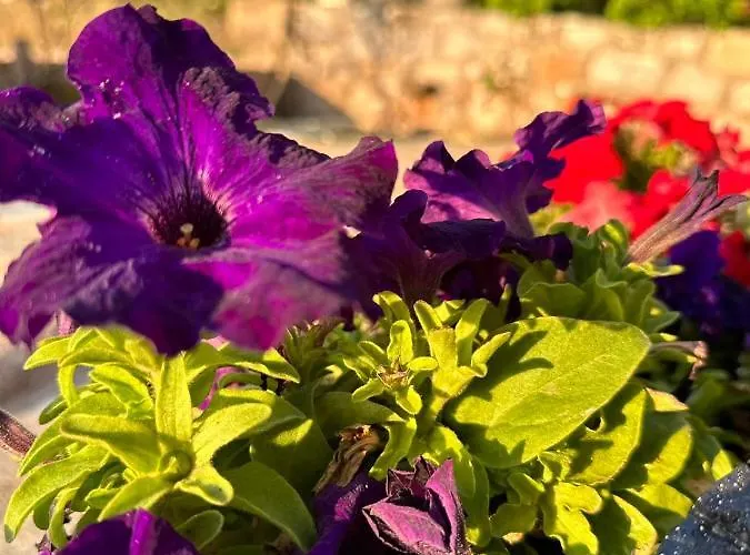 μαϊστράλι Appartement Kotronion (West Mani)