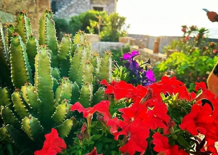 μαϊστράλι Appartement Kotronion (West Mani)